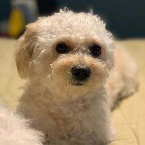 Meet your Posher, Jeff